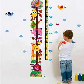   به رشد قدی کودکتان توجه کنید/ فرزندتان را در فعالیتهای گروهی شرکت دهید