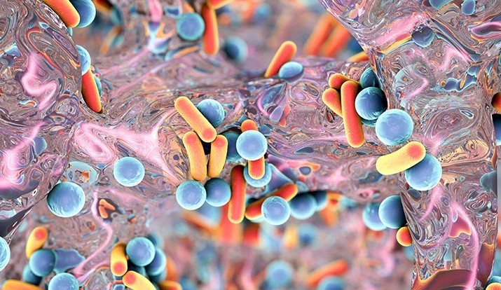 آنتی بیوتیک‌ مانع عملکرد صحیح سلول‌های ایمنی می‌شود!